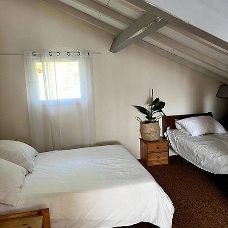 Villa Patio A 500M De La Plage In Seignosse Le Penon Eksteriør billede